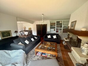 Télévision, cheminée, livres