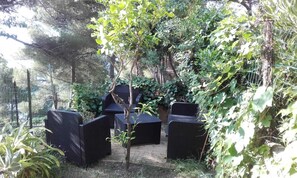 Jardin