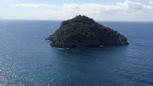 A small, isolated island with dense vegetation and rocky terrain, surrounded by calm sea waters. - Guest House Berzefi (Bergeggi)