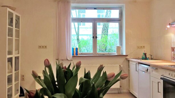 Una cocina con armarios blancos, un ventanal con vistas a la vegetación y un lavavajillas empotrado.