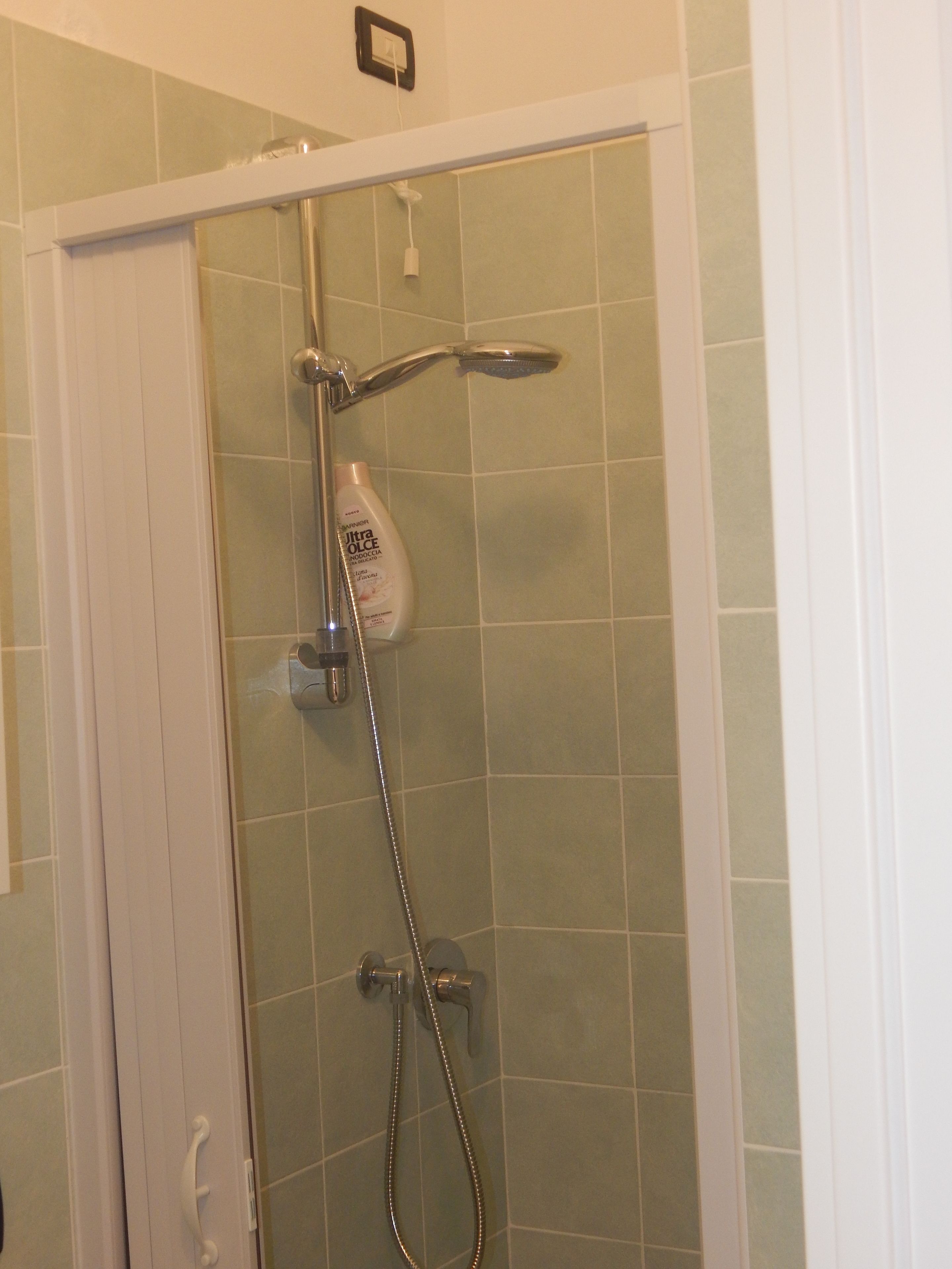 A glass-enclosed shower with a handheld showerhead and a handheld hose.