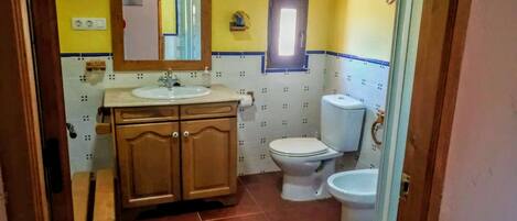 Combined shower/tub, hair dryer, bidet, towels