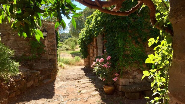 A rustic stone pathway leading through a garden with a stone wall on one side and a tree on the other. - Two little romantic cottages in the middle of nature  (Les Mayons)