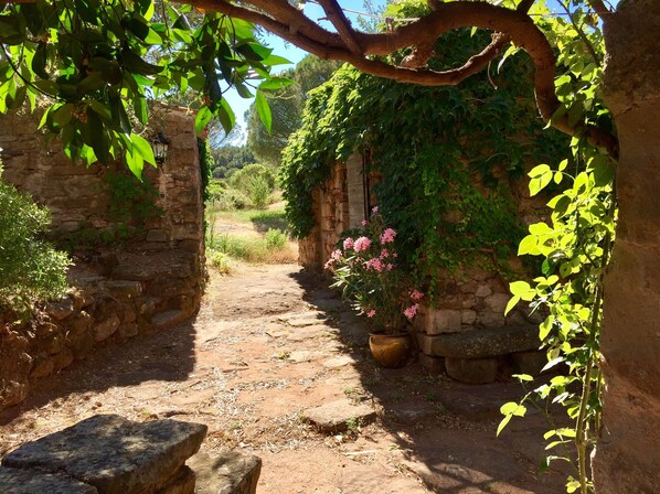 Overnattingsstedets uteområder