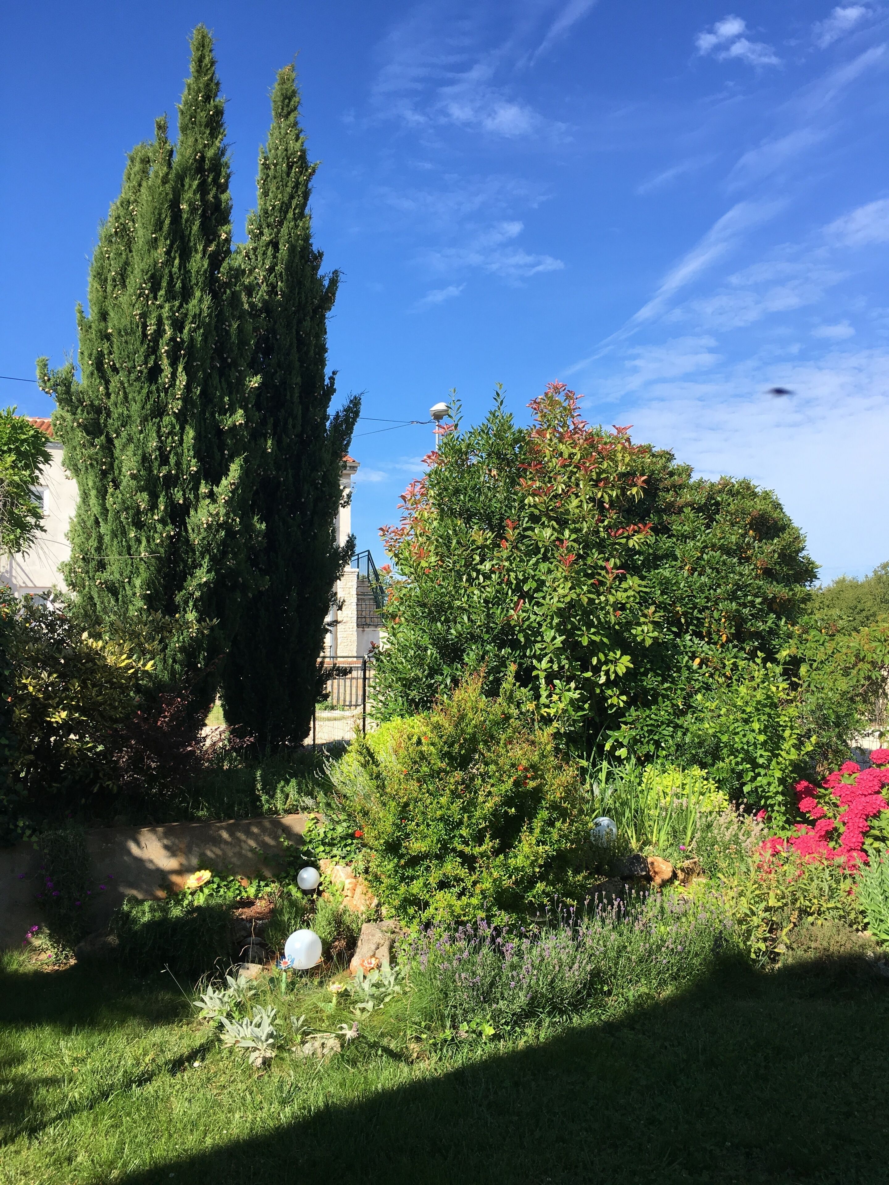 المنطقة المحيطة بالمنشأة