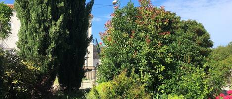 Overnattingsstedets uteområder