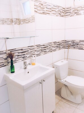 Shower, towels, shampoo, toilet paper