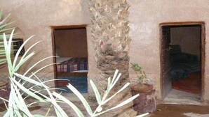 A room with a textured wall, a palm tree, and two small windows with curtains. - Hostel Take Your Time 4220 (Zagora)