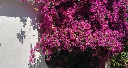 Villa Bleue Piscine  Mer Vallon Oriol