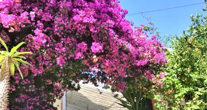 Villa Bleue Piscine Mer Vallon Oriol