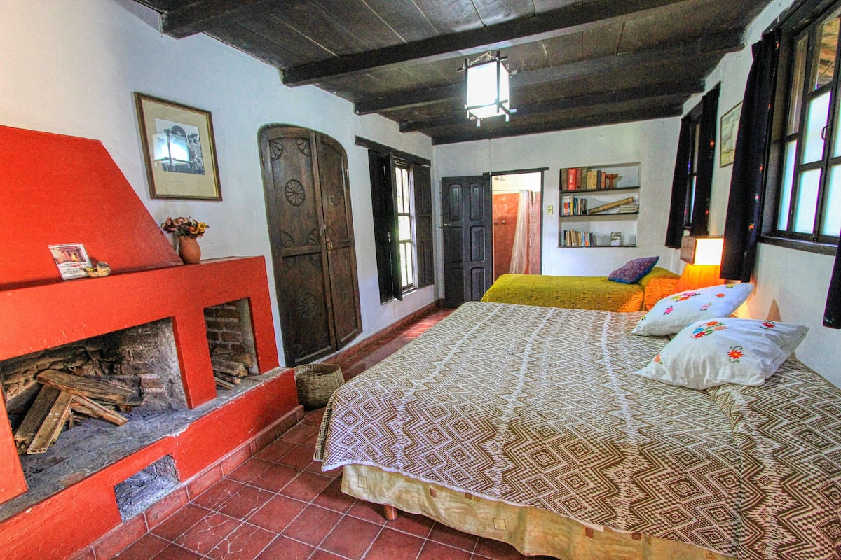 A room with a bed, a fireplace, a bookshelf, and a door.