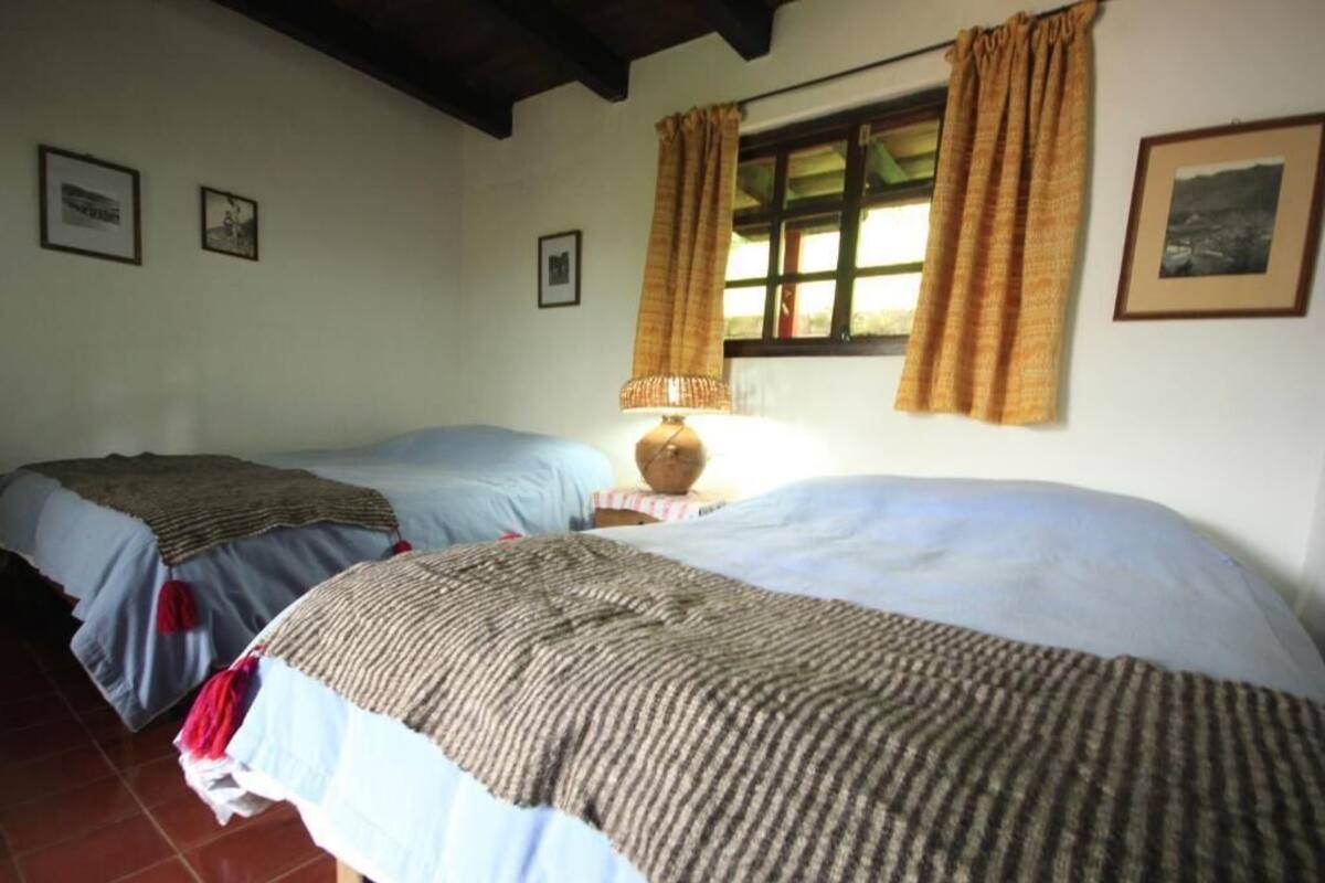 A room with two beds, a window with curtains, and a lamp on a bedside table.