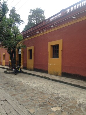 A building with yellow doors and windows, a stone-paved street, and a tree in front. - Hotel Na Bolom (San Cristóbal de las Casas)