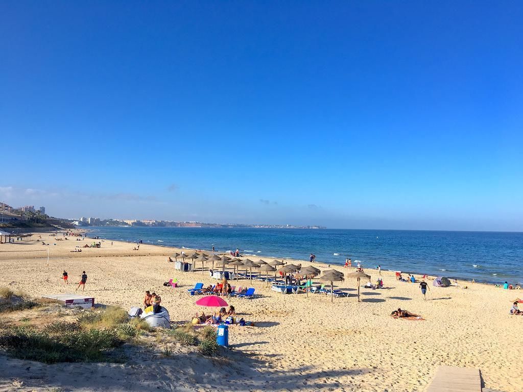 Una playa con tumbonas, sombrillas y gente disfrutando.