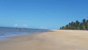 Ubicación cercana a la playa, tumbonas y toallas de playa