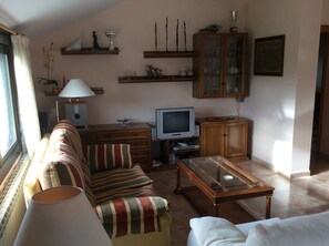 TV, video game console, books