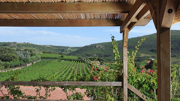 Blick auf ein Weinberg von einer Holzw pergola mit Fliesenboden.