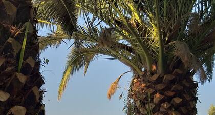 Very nice location, 80 meters to the beach, child-friendly