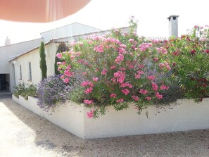 Property grounds - in the heart of the Parc de la Campane 15, 20 minutes from the beaches (Narbonne)