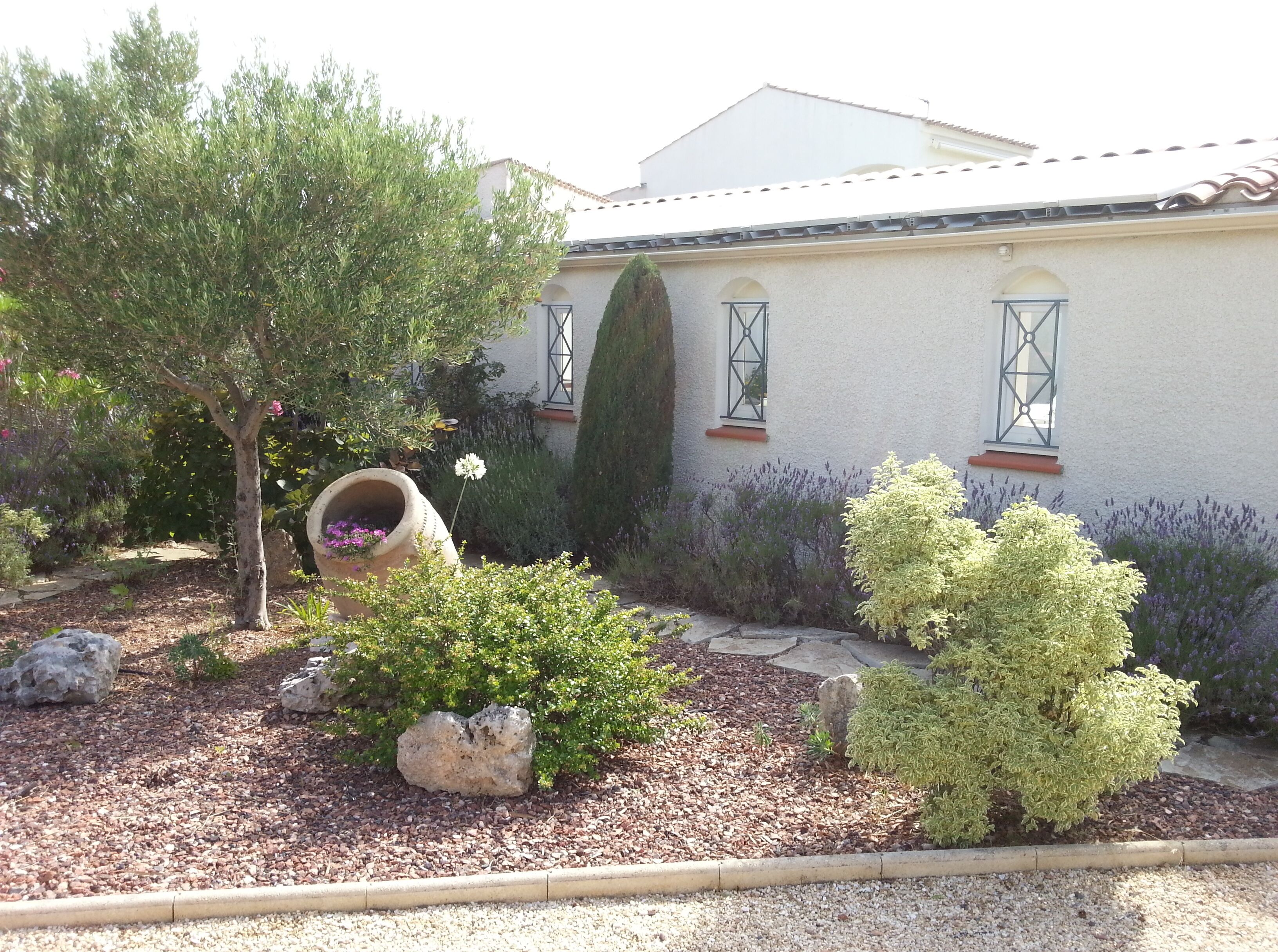 A house with a white exterior, a garden with various plants, and a large tree.