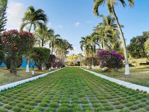 Property grounds - Villa Emunah-Because Every Detail Counts! (Cove Estate, Canoe Bay)