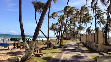 Perto da praia, espreguiçadeiras, toalhas de praia