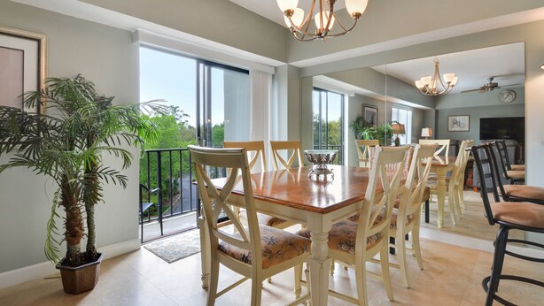 A dining area with a wooden table, cushioned chairs, and a potted plant.