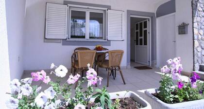 Apartments Pađen Milan 60249-A1