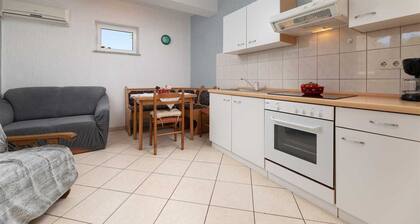 Apartments Pađen Milan 60249-A1