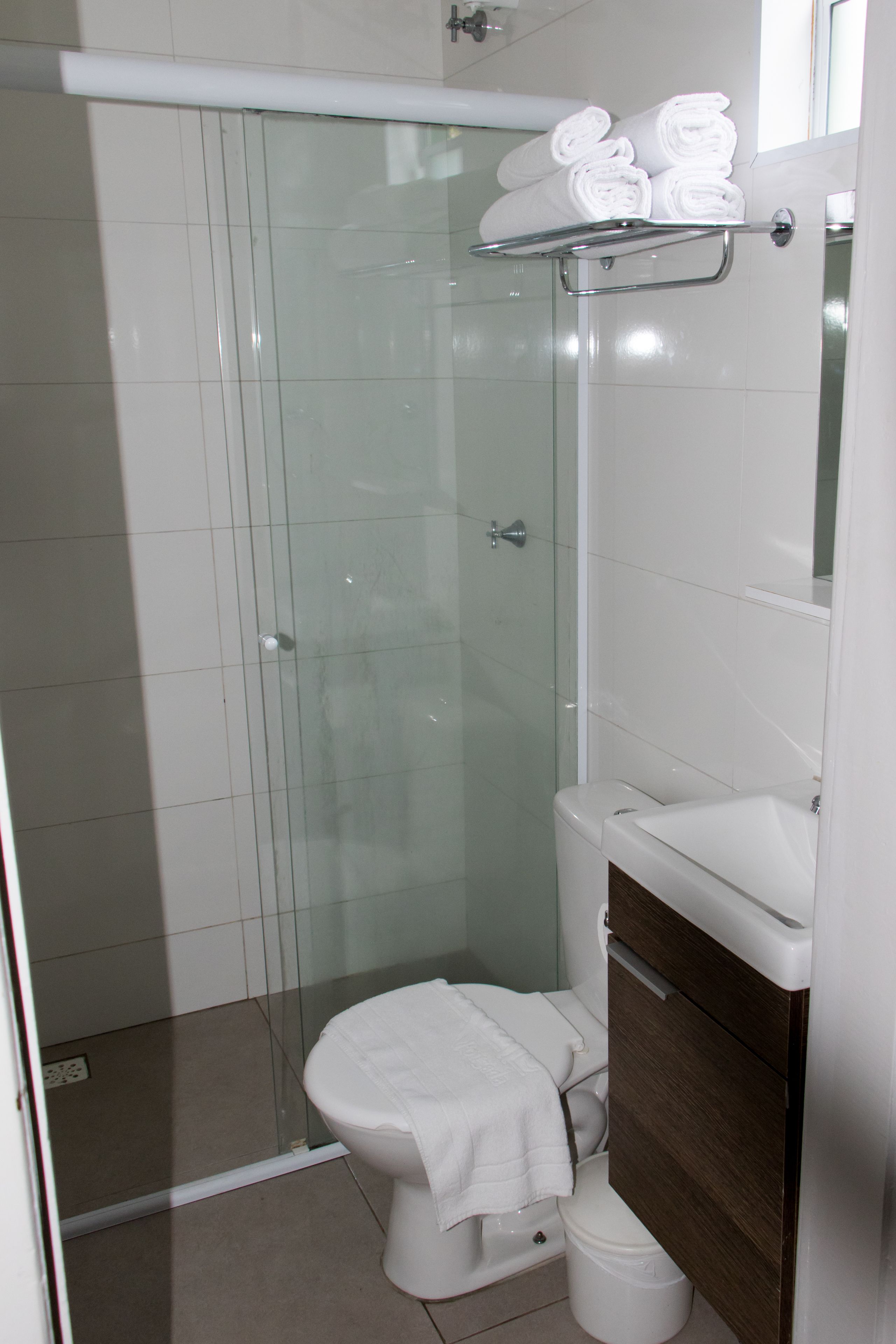 A modern bathroom with a glass shower enclosure, a white toilet, and a wooden vanity with a mirror.
