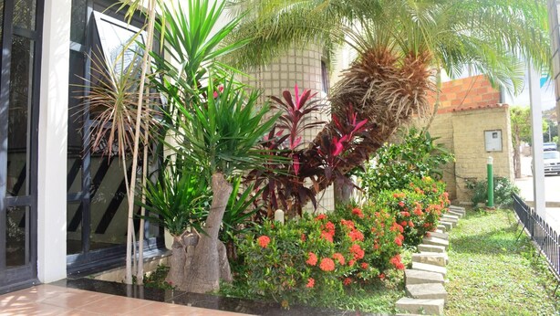 Un edificio moderno con entrada de vidrio, rodeado de diversas plantas tropicales y un camino de piedra.