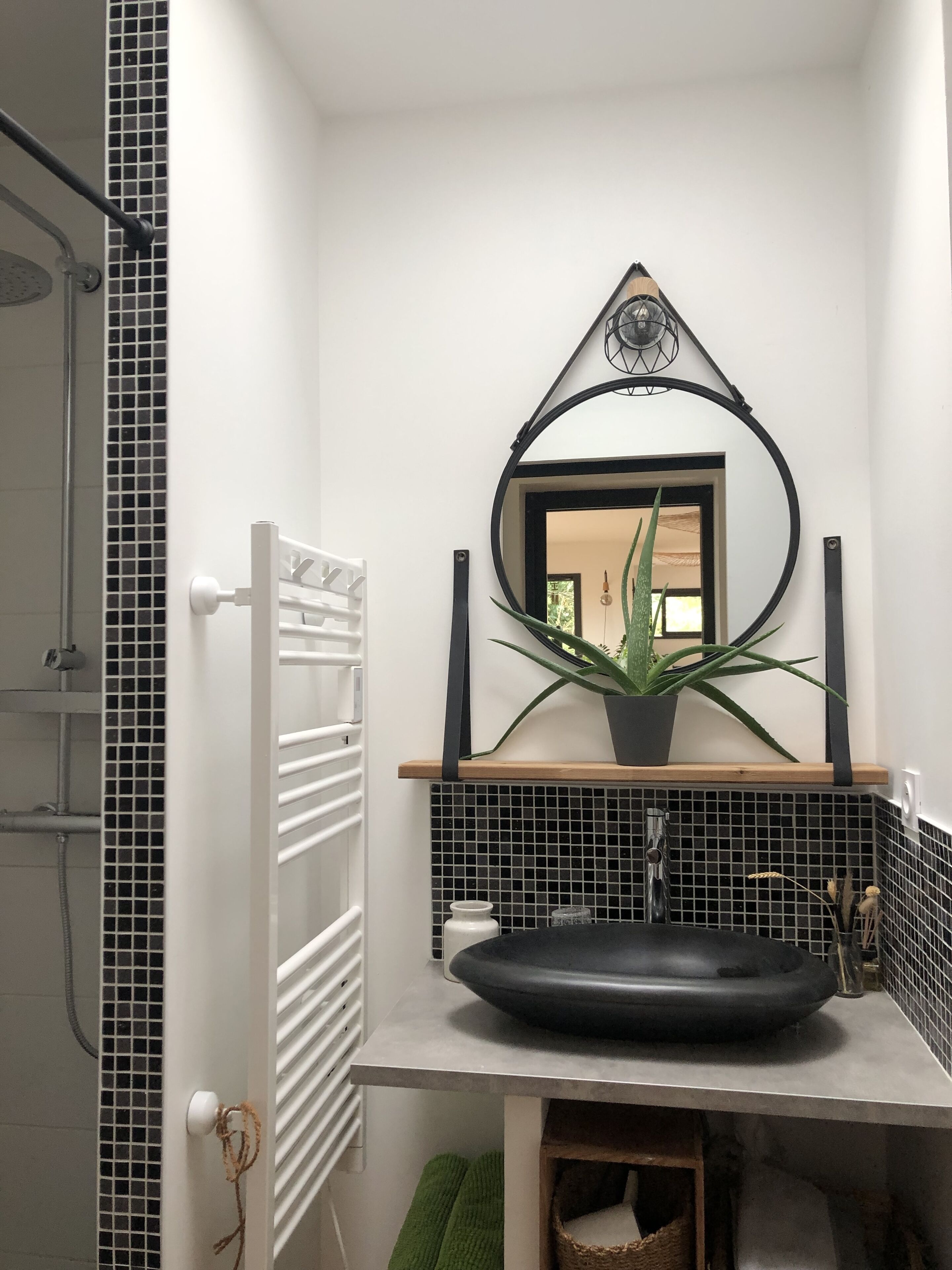 A bathroom with a black sink, a mirror, and a potted plant.