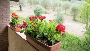 Uma varanda com vasos de gerânios e vista para um jardim paisagístico.