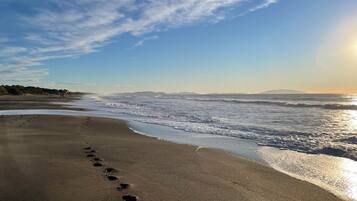 Beach nearby, sun loungers