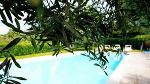 Piscina cercada por vegetação.