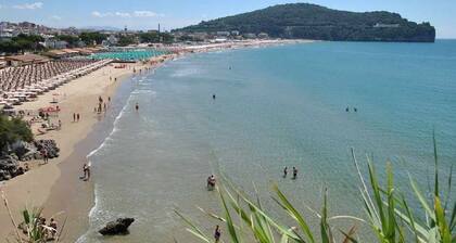 MAISON DINKY avec terrasse avec vue sur la mer