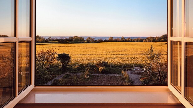 Blick aus einem Fenster auf ein goldenes Feld mit Bäumen und einem klaren Himmel.
