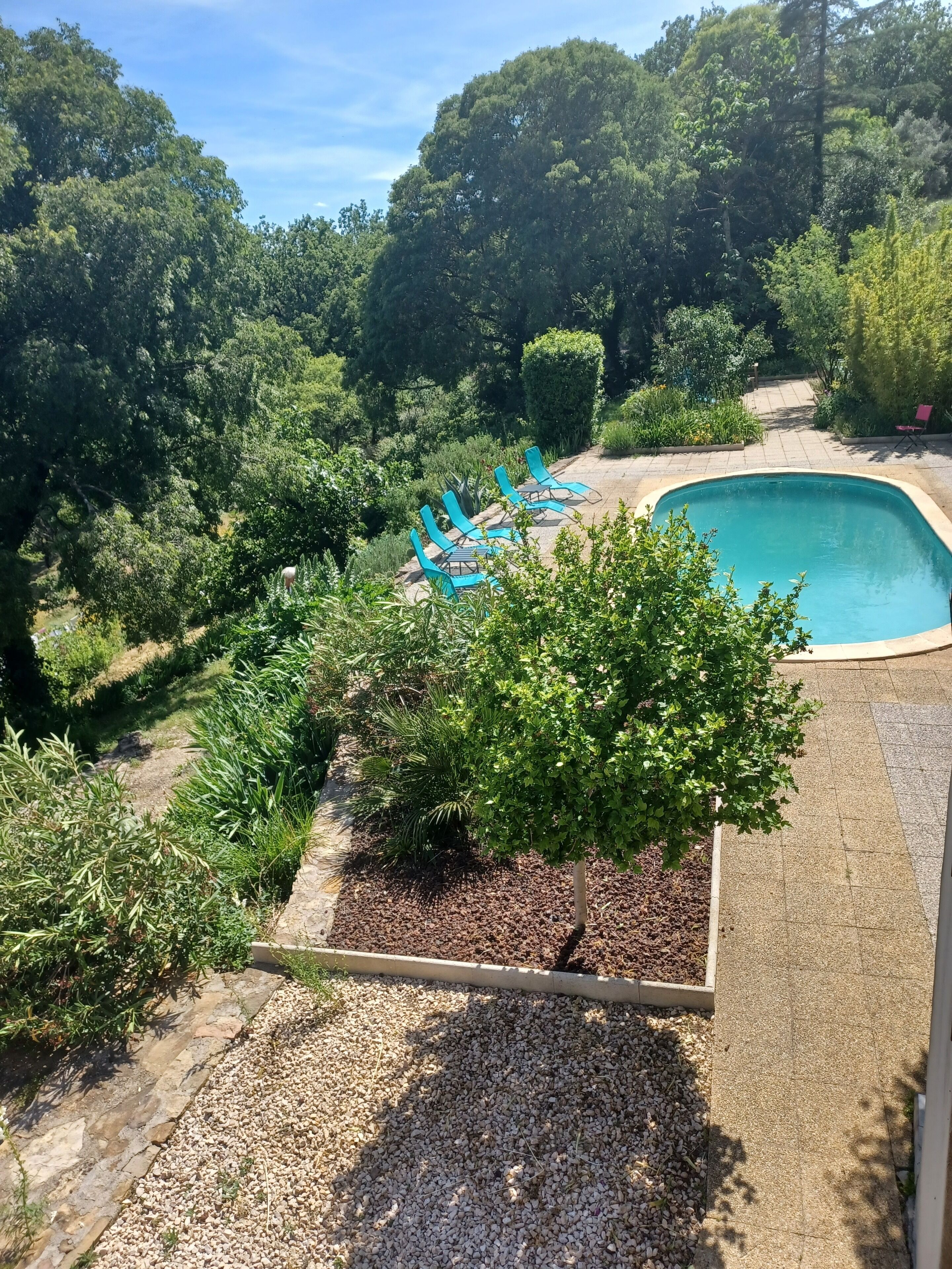 A backyard with a swimming pool, surrounded by lush greenery and a patio area with blue chairs.