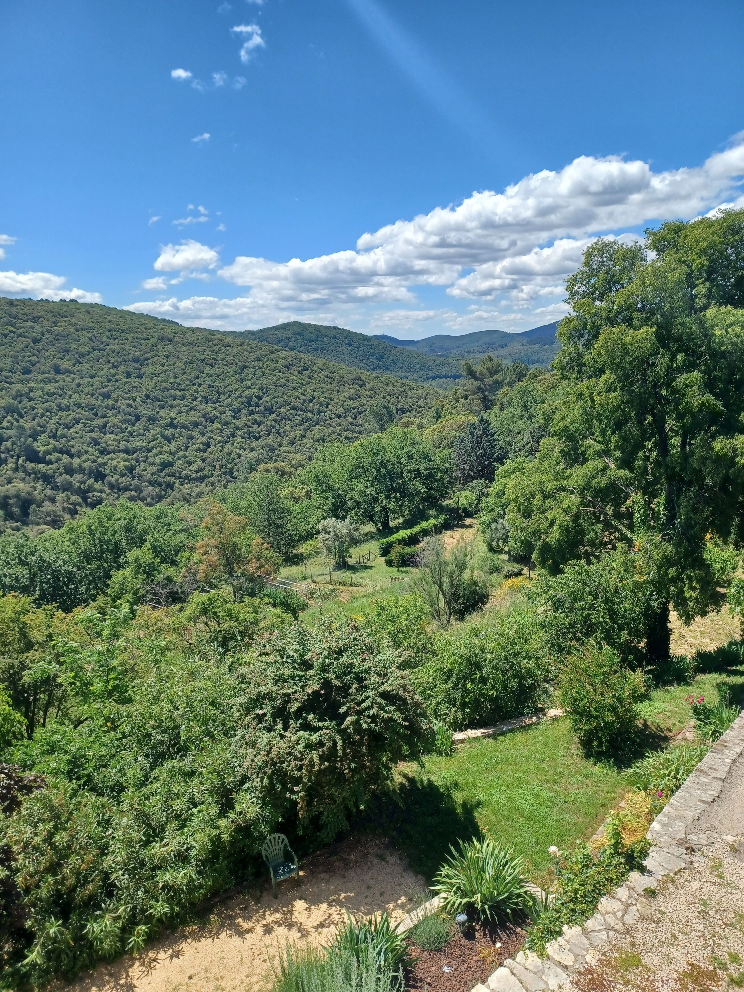 A lush green landscape with a variety of trees and shrubs, a clear blue sky, and distant hills.