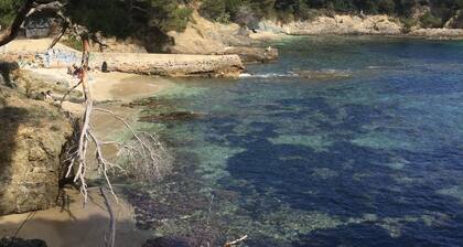 Presqu Ile De Giens: Ferienwohnung - PREQU'ILE DE GIENS