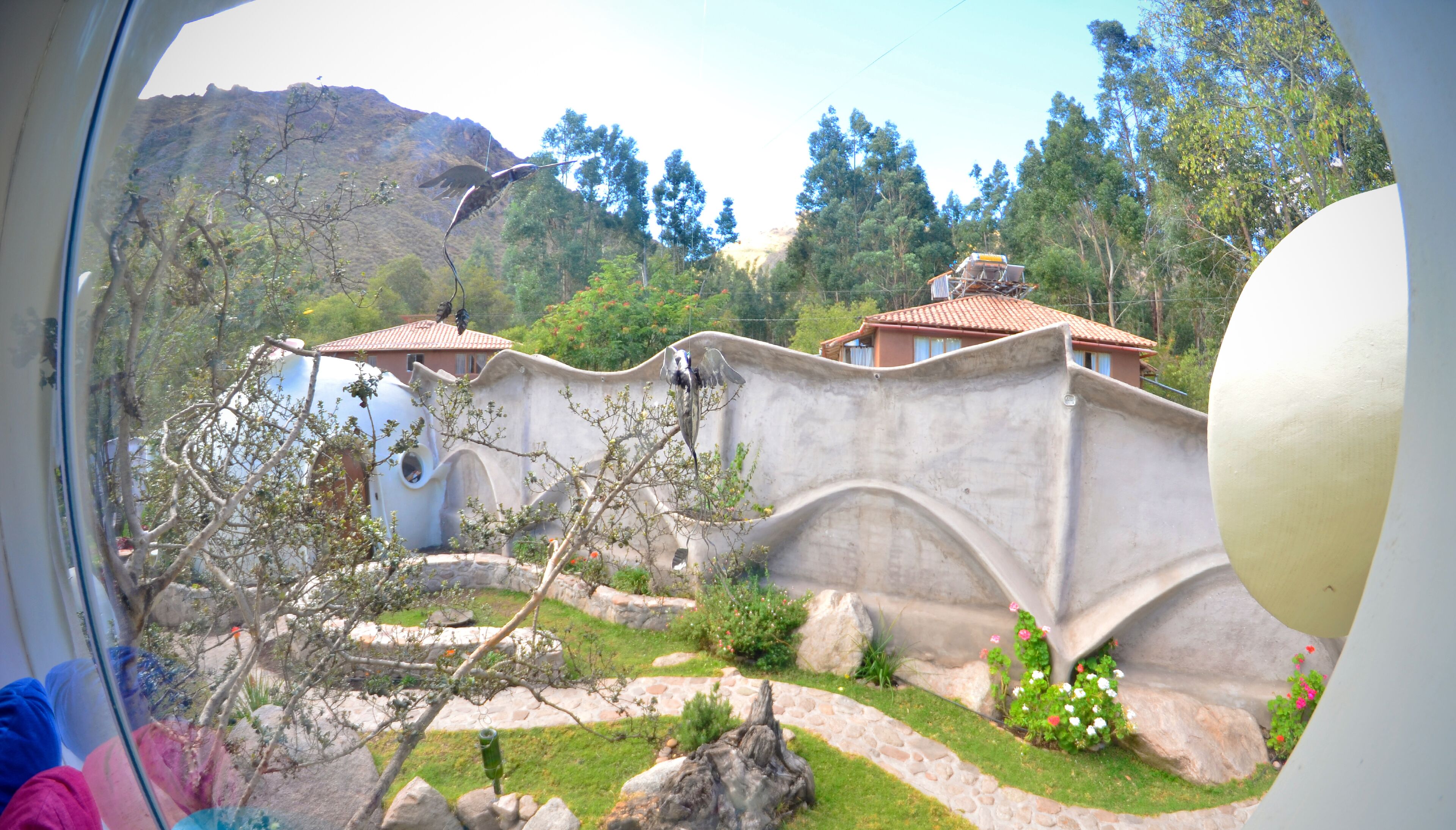 superior room | garden view