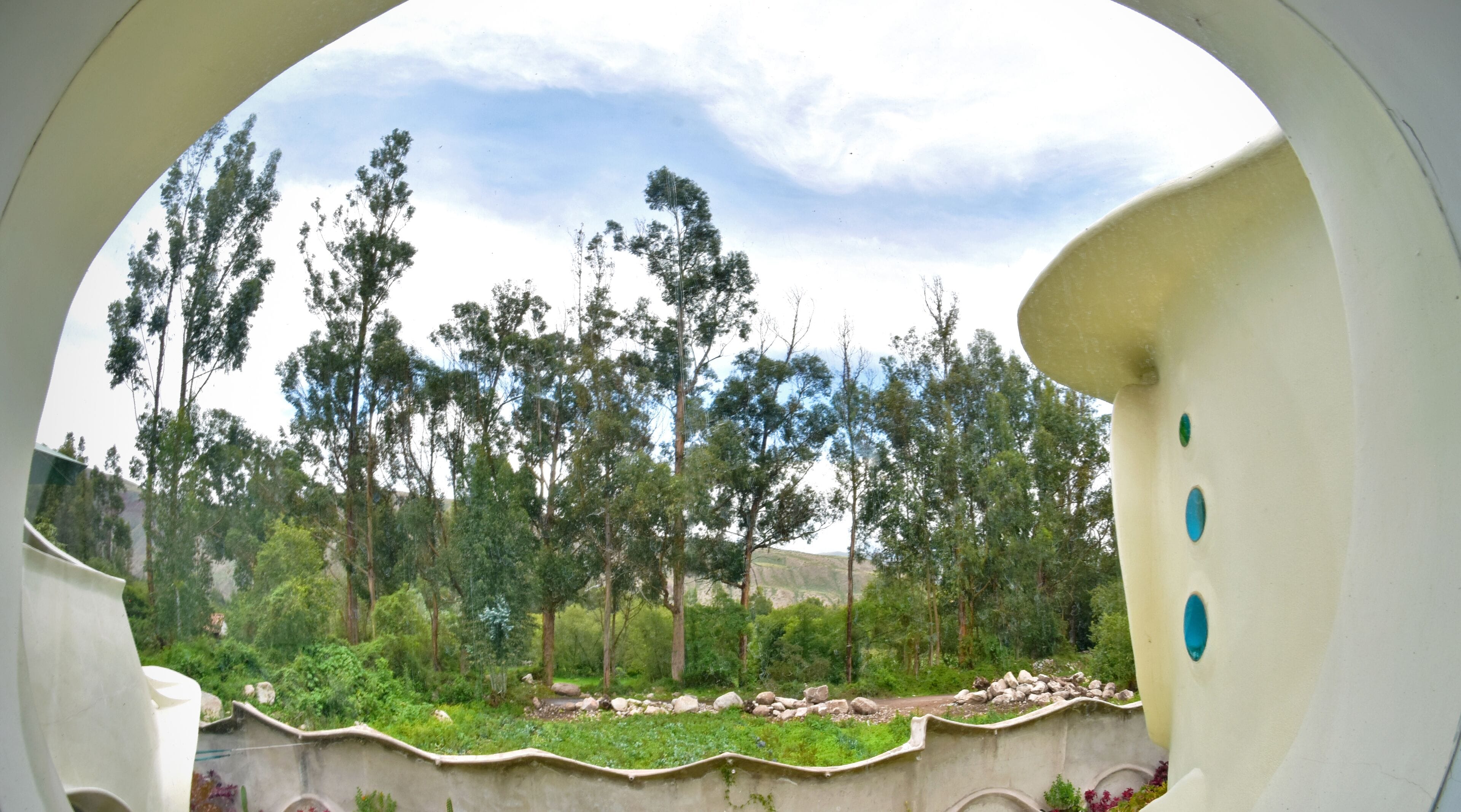 junior suite | garden view