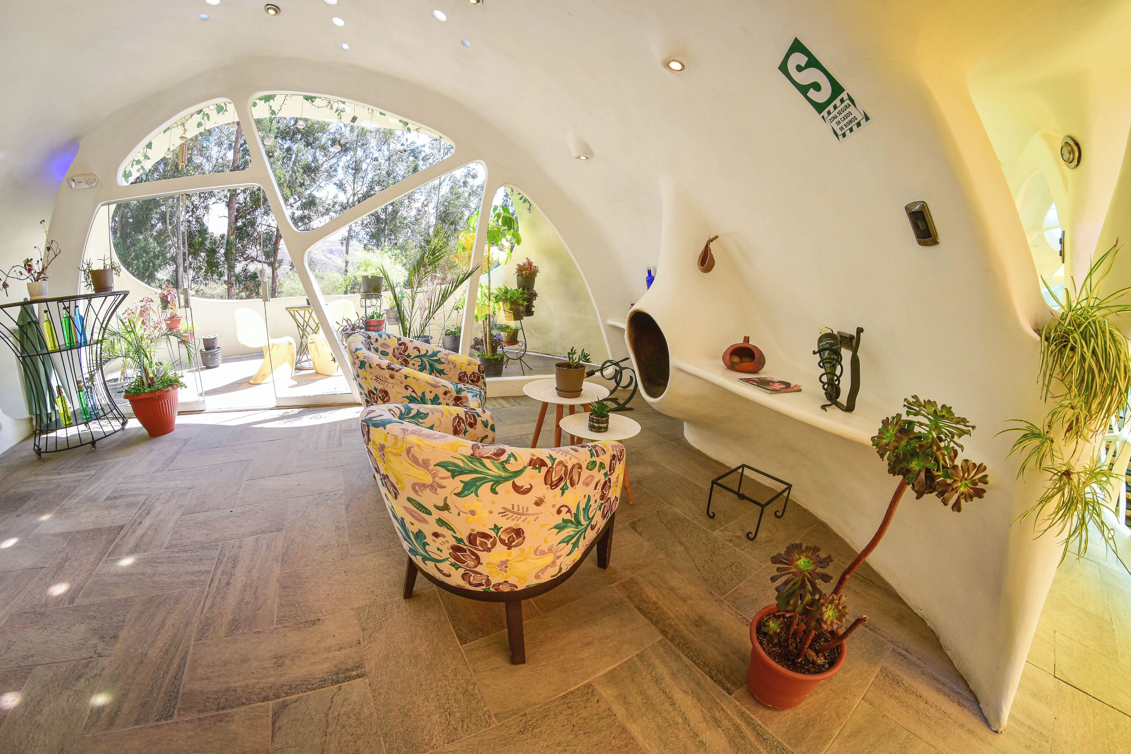 Una habitación amplia con techo curvo, ventanas grandes y una variedad de plantas en macetas.