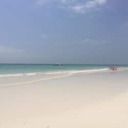 Beach bar