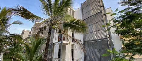 A modern building with a balcony and a palm tree in the foreground.