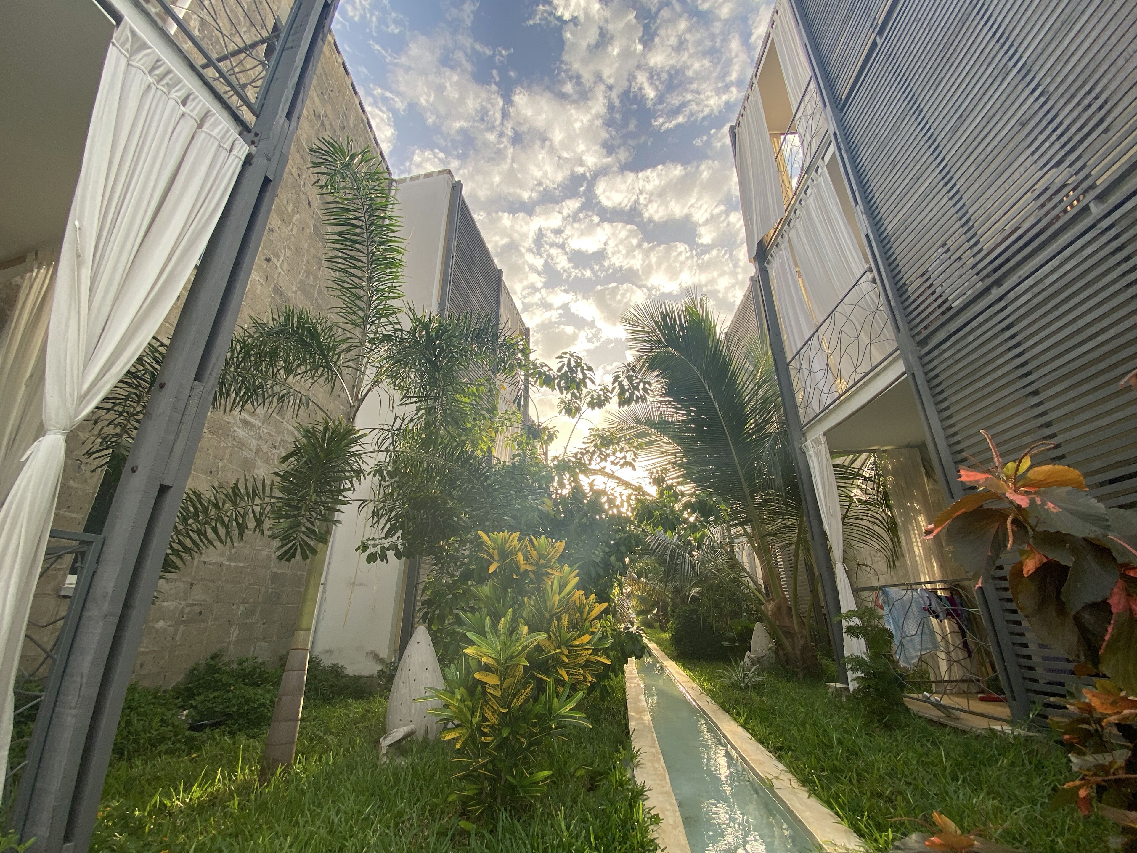 Jardín