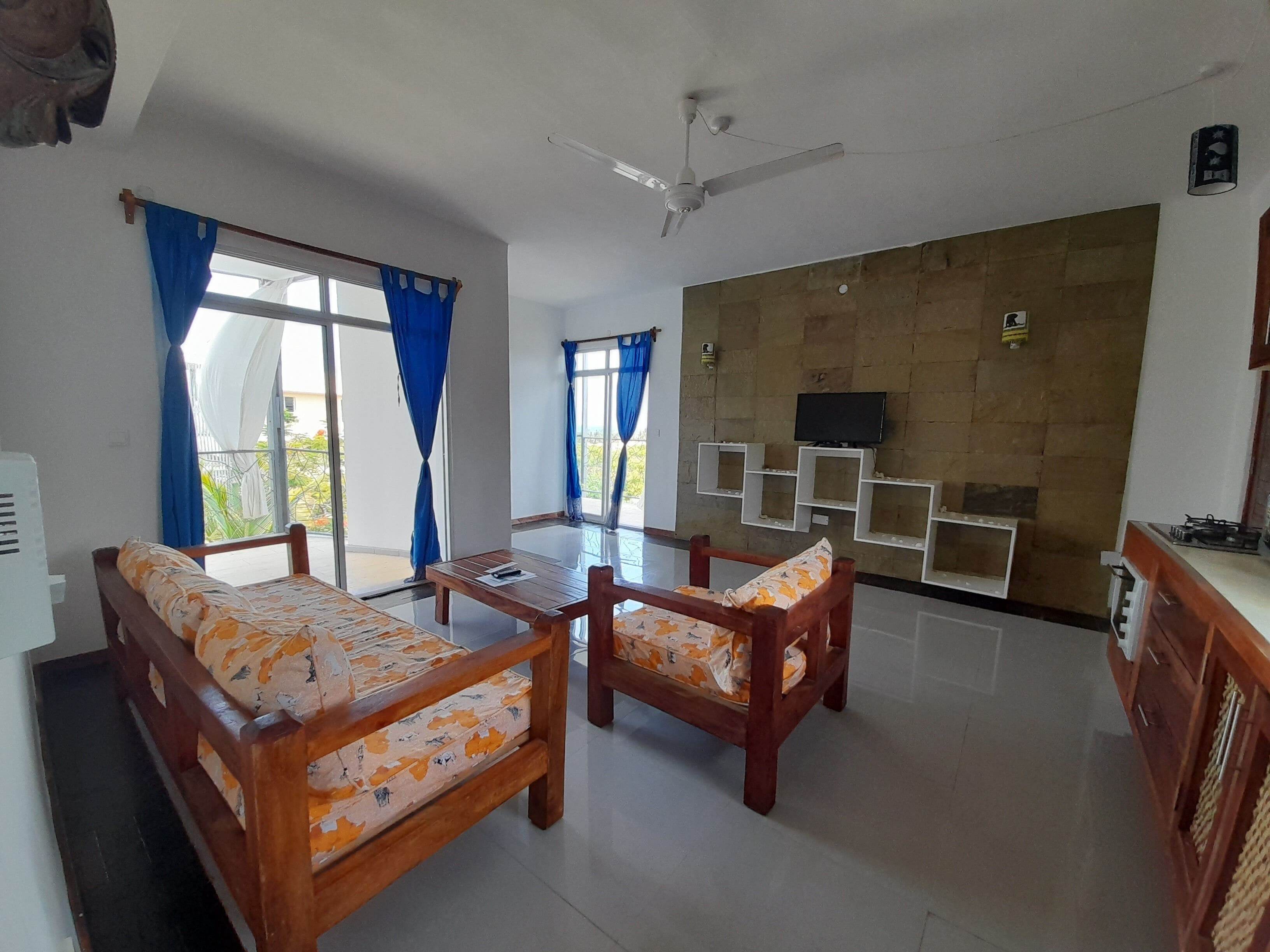 36-英寸纯平电视（配备卫星频道）、电视、Netflix