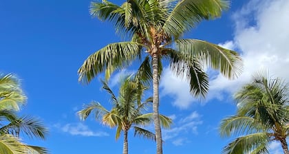 Sleeps 6! Palm Villas B23, 2 bed plus 3rd bedroom loft! Walk to Beach!