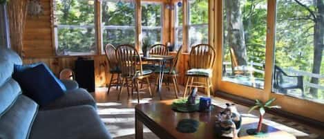 Fireplace, video games, DVD player, table football