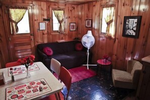 Chimenea, videojuegos, reproductor de DVD y futbolito 